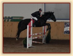 Soutěž ZM, Arwen, foto Olga Procházková