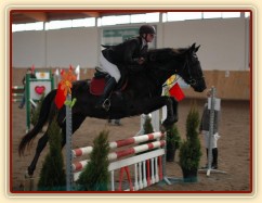 Soutěž ZM, Arwen, foto Olga Procházková