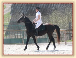 Carthago na opracovišti - "kde je ta moje kobyla?" :-)