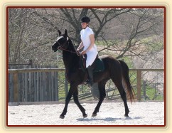 Carthago na opracovišti - "kde je ta moje kobyla?" :-)