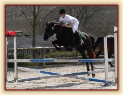 Carthago skáče na opracovišti.