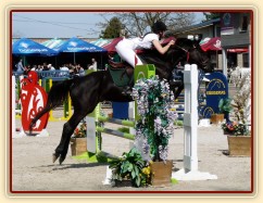 Carthago v soutěži stupňovaná obtížnost do 100 cm