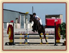 Carthago v soutěži stupňovaná obtížnost do 100 cm