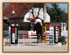 Carthago v soutěži stupňovaná obtížnost do 100 cm