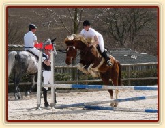 Vikina skáče na opracovišti.