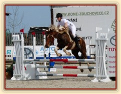 Vikina v soutěži stupňovaná obtížnost do 100 cm