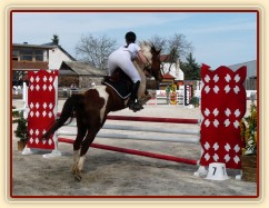 Vikina v soutěži stupňovaná obtížnost do 100 cm