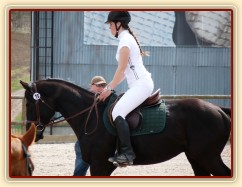 Carthago na opracovišti, pomalu se dostavuje soustředění i mezi cizími koňmi...