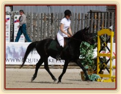 Carthago v kolbišti před soutěží stupně Z