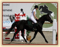 Carthago v kolbišti před soutěží stupně Z