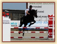 Carthago v soutěži stupně Z