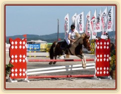 Vikina v soutěži stupně Z