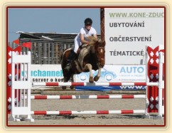 Vikina v soutěži stupně Z