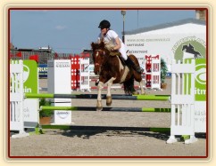 Vikina v soutěži stupně Z