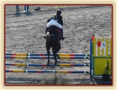 Arwen v soutěži stupně ZM