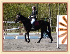 Arwen na dekorování - 4.místo