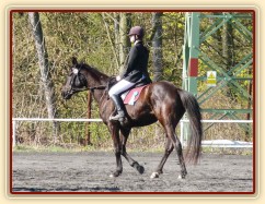 Arwen na dekorování - 4.místo