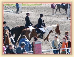 Arwen a Vikina na opracovišti