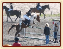 Vikina skáče na opracovišti