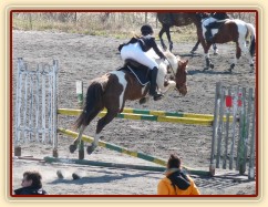 Vikina skáče na opracovišti