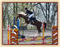 Vikina v soutěži stupně Z