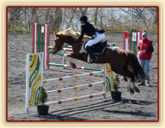 Vikina v soutěži stupně Z