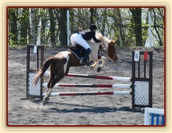 Vikina v soutěži stupně Z