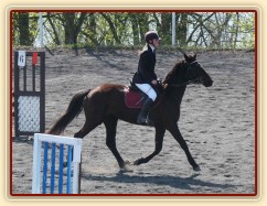 Arwen v kolbišti před soutěží stupně Z