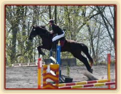 Arwen v soutěži stupně Z