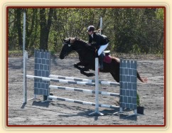 Arwen v soutěži stupně Z