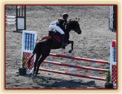 Arwen v soutěži stupně Z