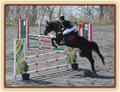 Arwen v soutěži stupně Z