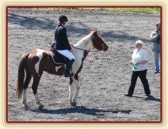 Vikina při dekorování soutěže Z - 5.místo