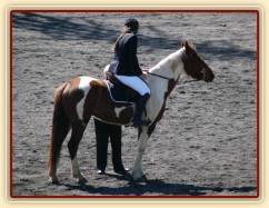 Vikina při dekorování soutěže Z - 5.místo