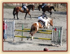 Vikina skáče na opracovišti před soutěží ZL