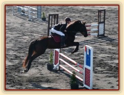 9.4.2011 - Arwen v soutěži stupně ZM, závody Plzeň Bory