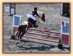 9.4.2011 - Vikina v soutěži stupně Z, závody Plzeň Bory
