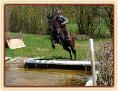 Arwen a její první skok do vody