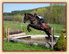 Arwen, výskok z vody