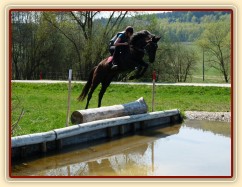 Arwen, voda je velký bubák, tam se musí skočit pořádně z vysoka:-)