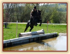 Carthago, skok do vody