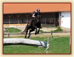 Arwen, přeskok přes kmen