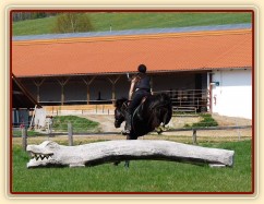 Carthago, přeskok přes kmen