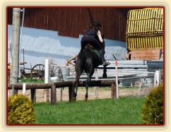 Carthago, skok přes "turnikety"