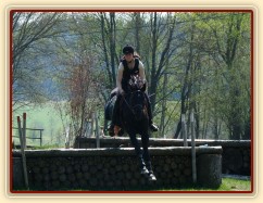 Carthago, skok přes metr dříví