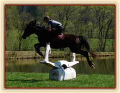 Arwen, jedna s "bubákových" překážek
