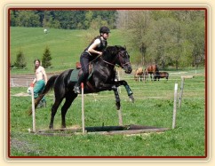 Carthago, skok přes suchý příkop