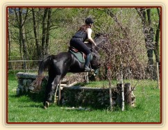 Carthago, kamenná zídka