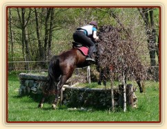 Arwen, kamenná zídka