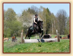 Carthago, výskok na irskou lavici